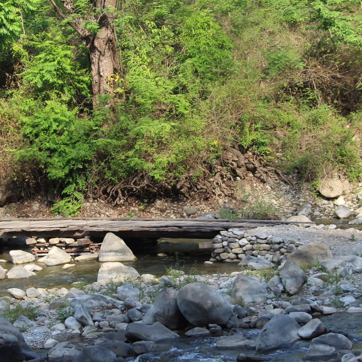 A rustic wooden bridge over a rocky forest stream near Durgadevi Gate in Jim Corbett