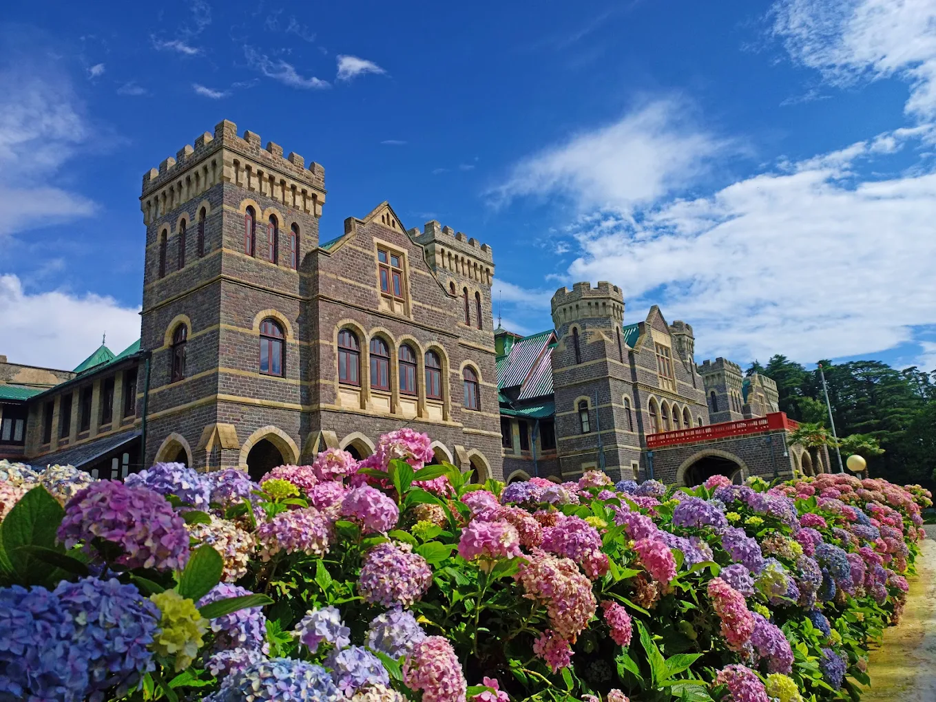 Raj Bhawan historic building framed by colourful hydrangea flowers and a bright blue sky