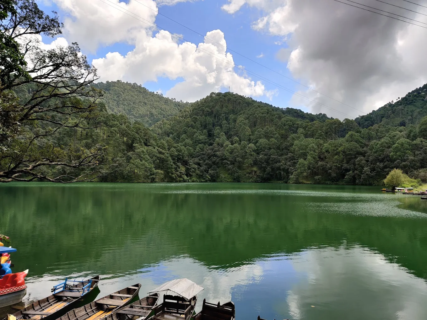 Interconnected lakes and forest at Sattal near Bhimtal