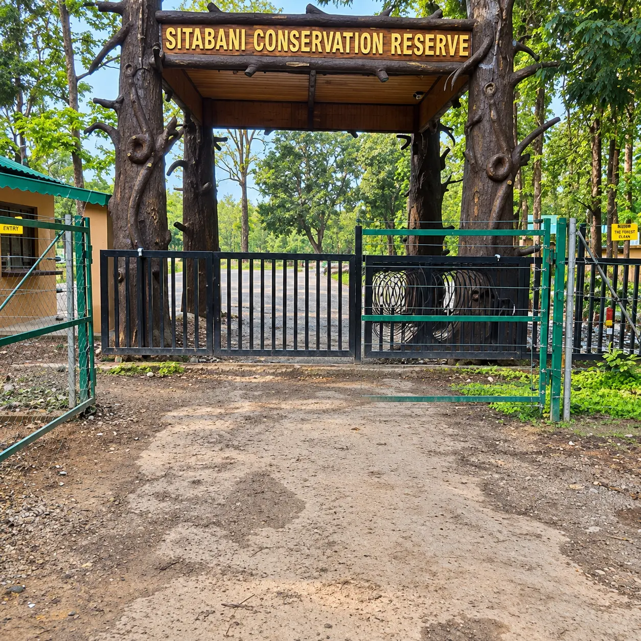 Jeep safari on a forest track with spotted deer in a Sitabani grassland clearing