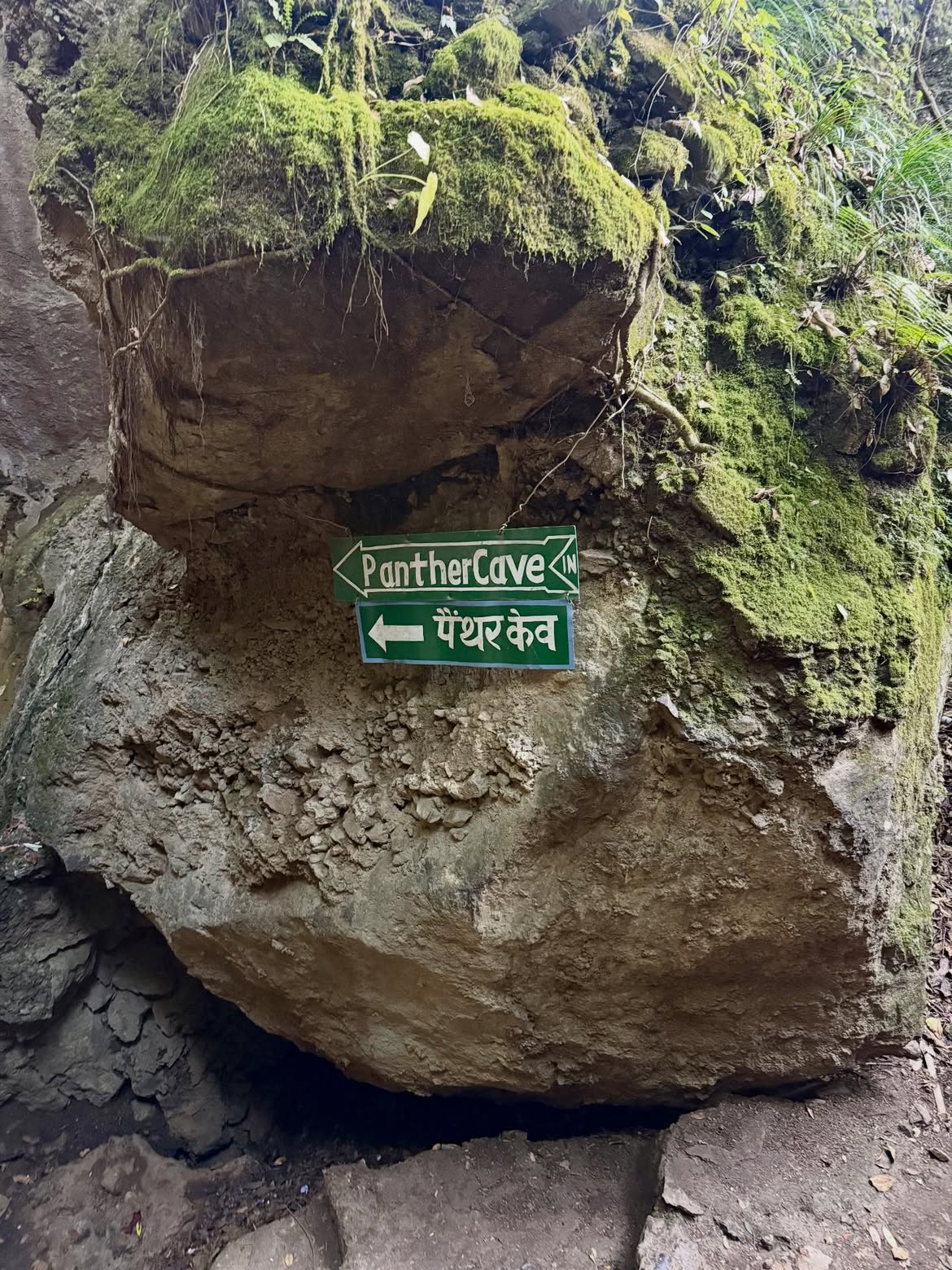 Panther Cave directional sign on a mossy rock at Eco Cave Park, Nainital