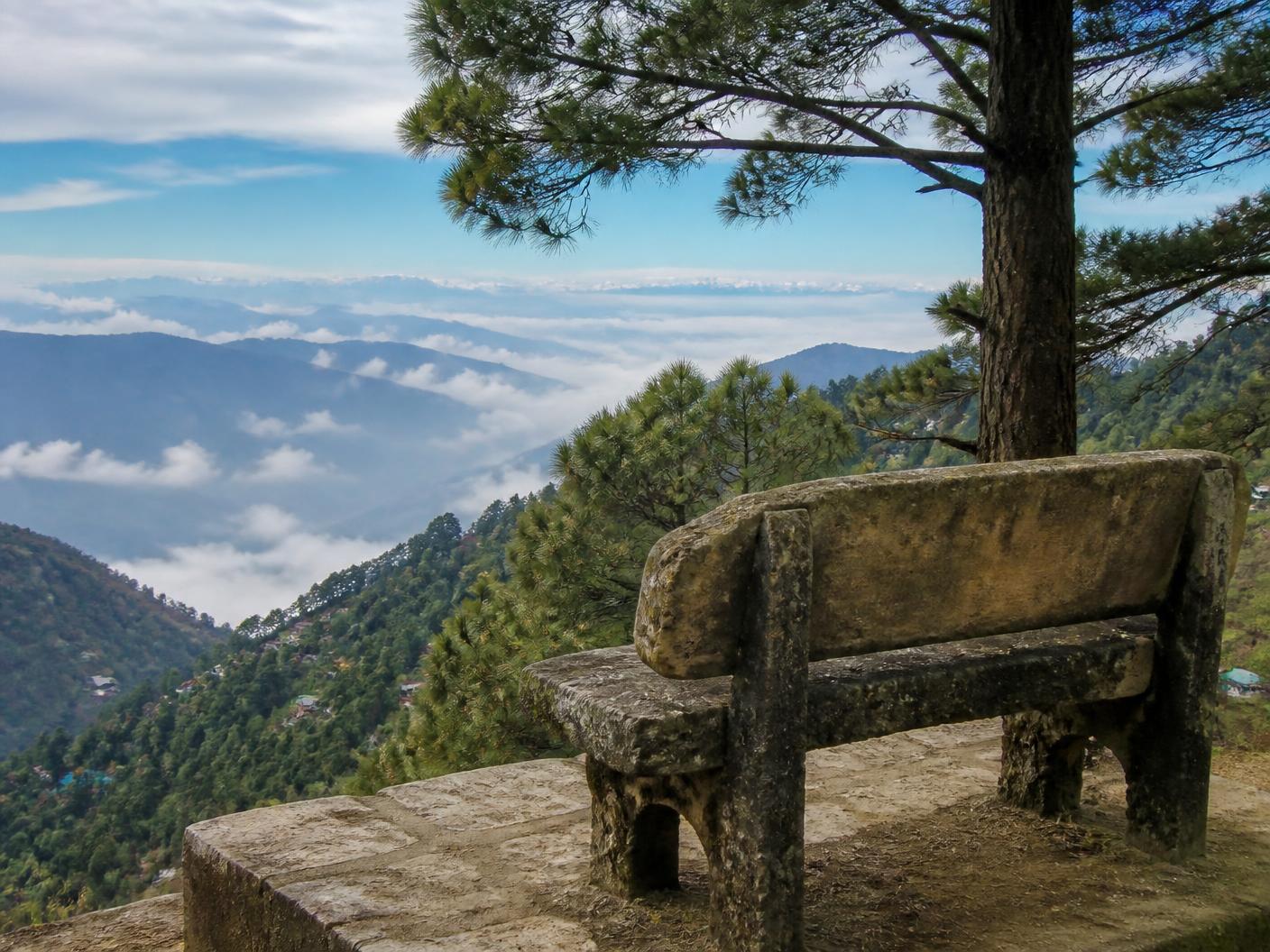 Stone bench viewpoint at Tiffin Top overlooking forested Kumaon hills near Nainital