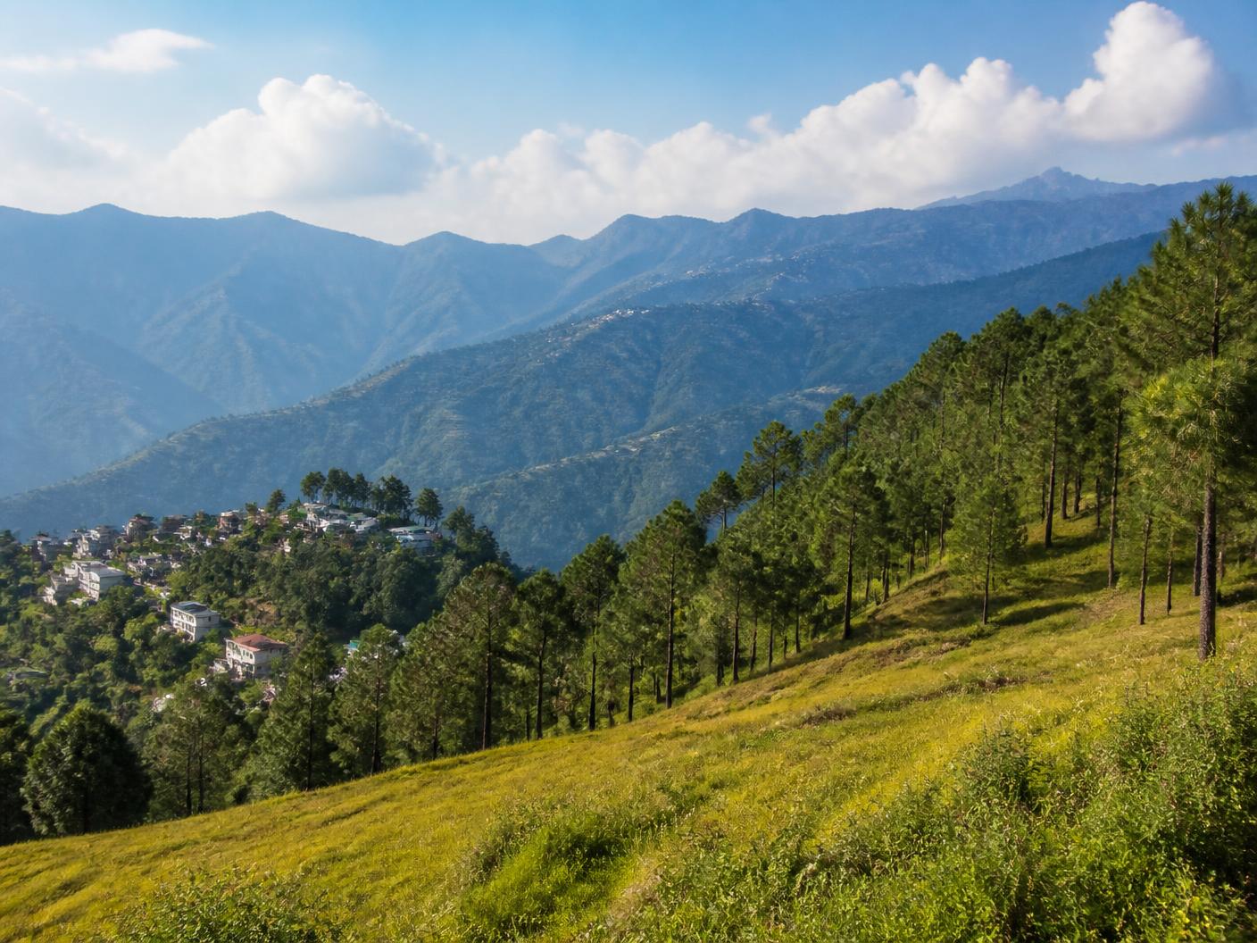 Scenic pine slopes and open meadow at Rani Kota Hills near Nainital