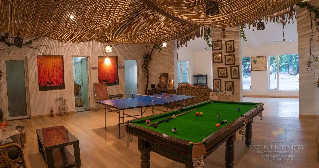Jungle Suite